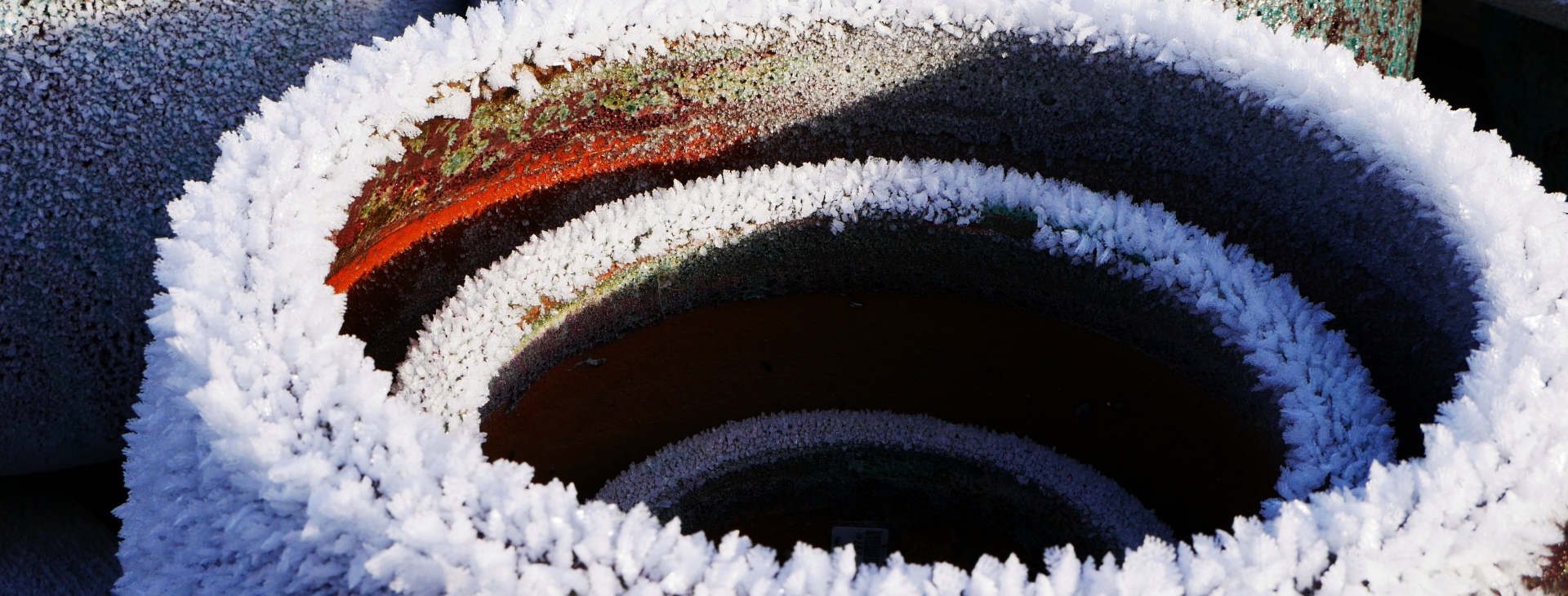 Zahradnictv� Krumlov