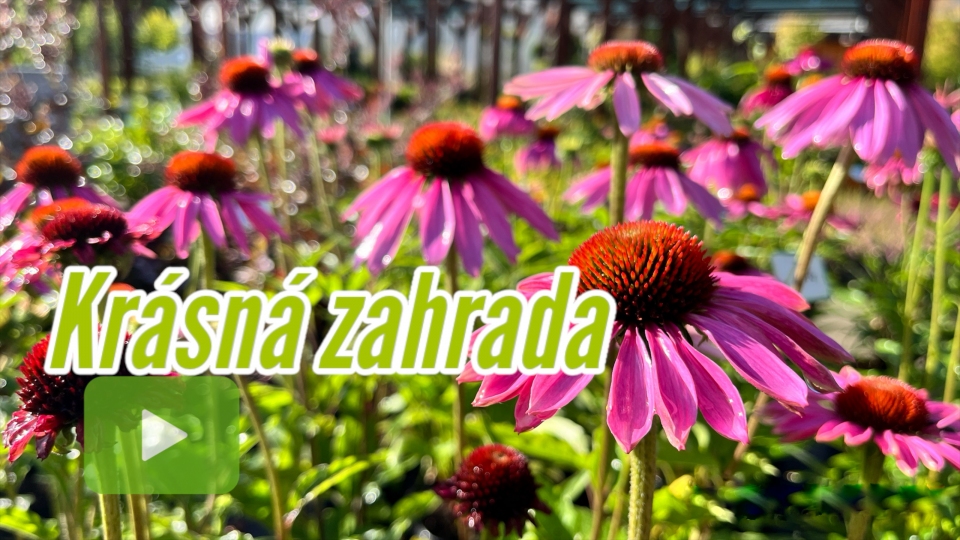 Pohled do zahradnictv ervenec 2024