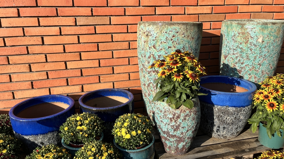 Pohled do zahradnictv srpen 2024